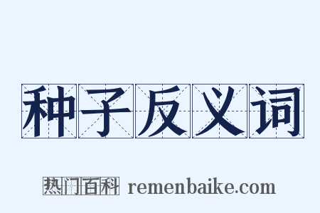 种子反义词是什么意思的图片